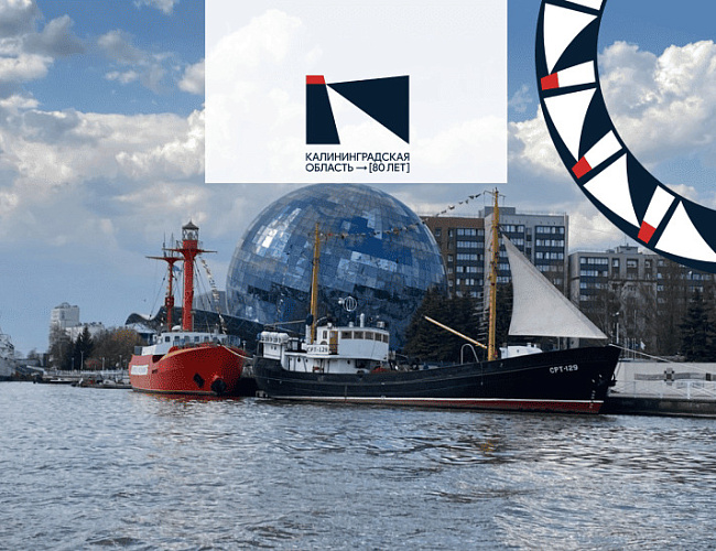 День селёдки 2026